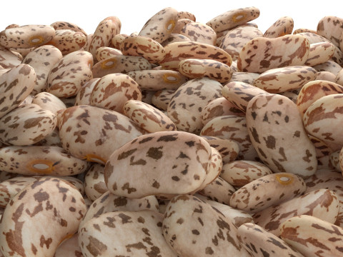 Roman beans pile 3D Модель