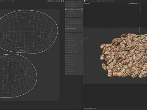 Tas de haricots romains Modèle 3D