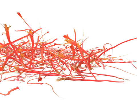 Saffron pile 3D Model