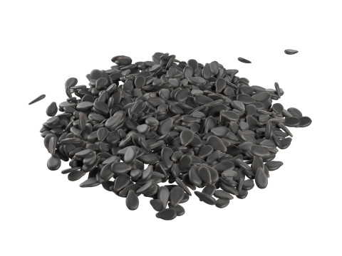 Sesame seed black pile 3D Model