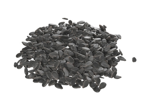 Sesame seed black pile 3D Model