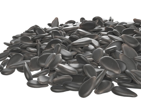 Sesame seed black pile 3D Model