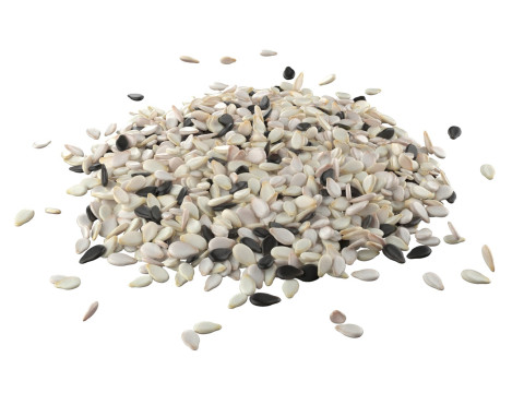 Sesame seed mix pile 3D मॉडल