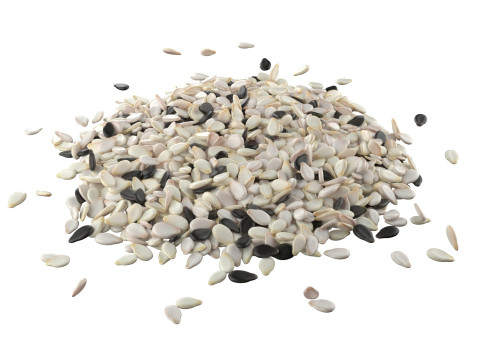 Sesame seed mix pile 3D मॉडल