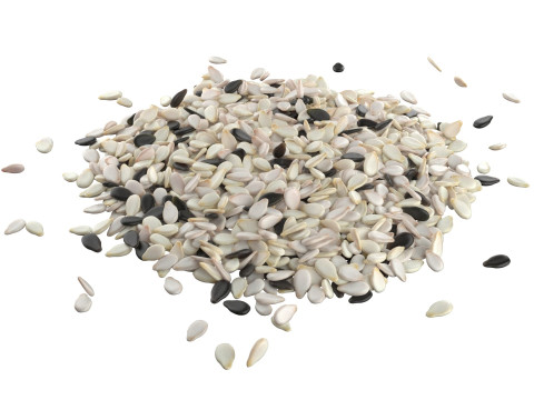 Sesame seed mix pile 3D मॉडल
