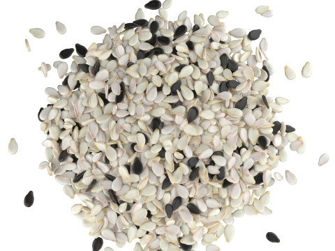 Sesame seed mix pile 3D मॉडल