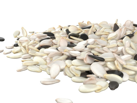 Sesame seed mix pile 3D मॉडल