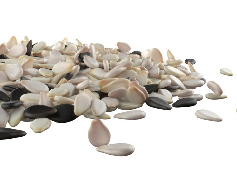 Sesame seed mix pile 3D मॉडल