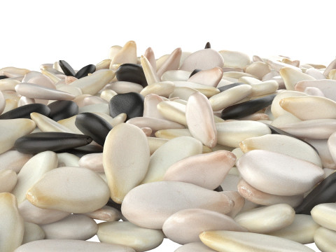 Sesame seed mix pile 3D मॉडल