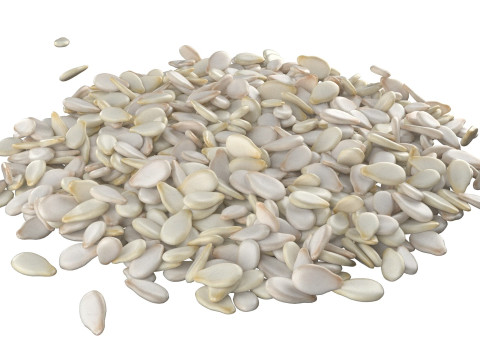 Sesame seed white pile 3D मॉडल