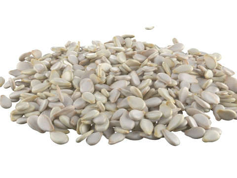 Sesame seed white pile 3D 模型