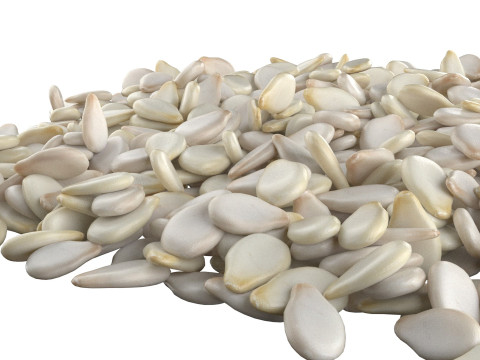 Sesame seed white pile 3D 模型