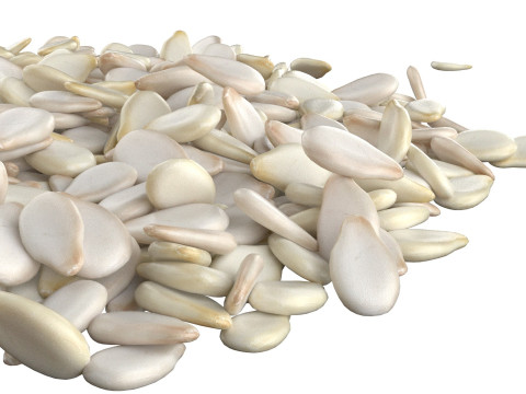 Sesame seed white pile 3D 模型