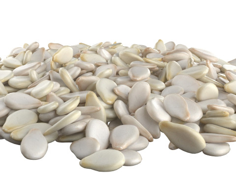 Sesame seed white pile 3D 模型