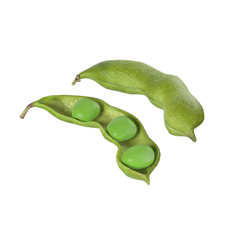 Soybean green pod 3D Model .c4d .max .obj .3ds .fbx .stl .blend 