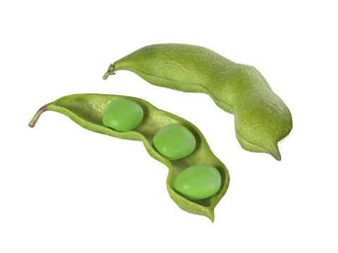 Soybean green pod 3D मॉडल