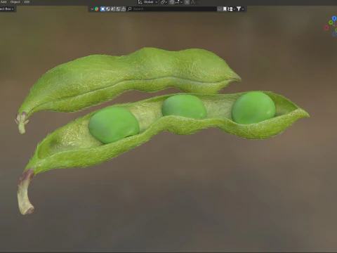 Soybean green pod 3D Model