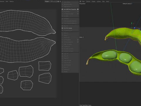 Soybean green pod 3D Model
