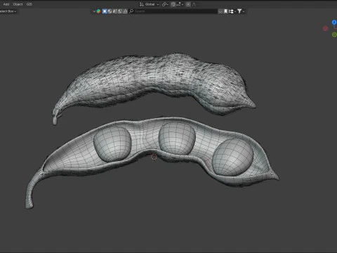 Soybean green pod 3D Model
