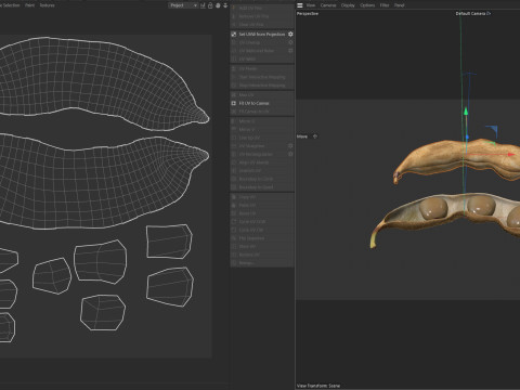 Soybean seed pod dried 3D Model