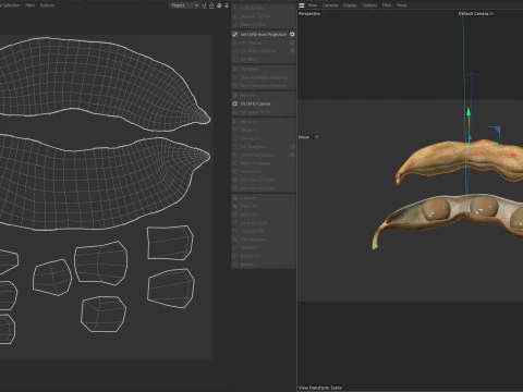 Soybean seed pod dried 3D Model