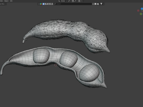 Soybean seed pod dried 3D Model
