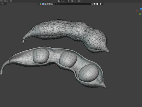 Soybean seed pod dried 3D Model