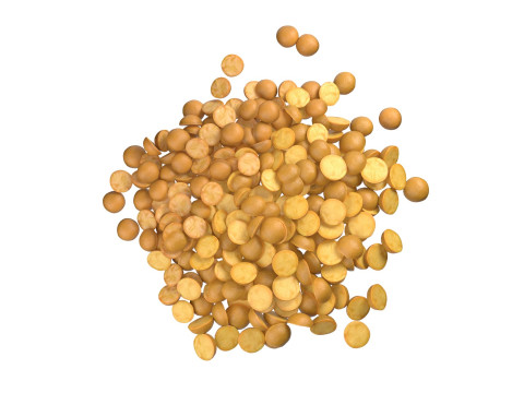 Split mung bean pile 3D Model
