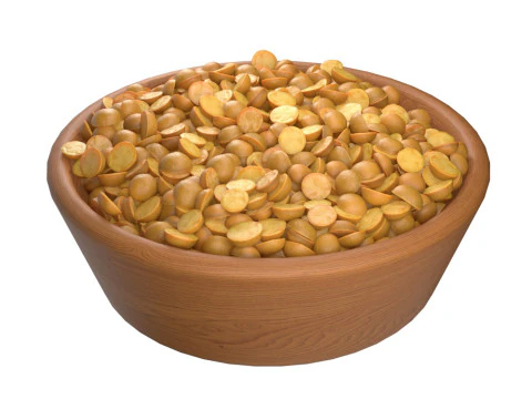 Gespleten mungbonenkom 3D Model