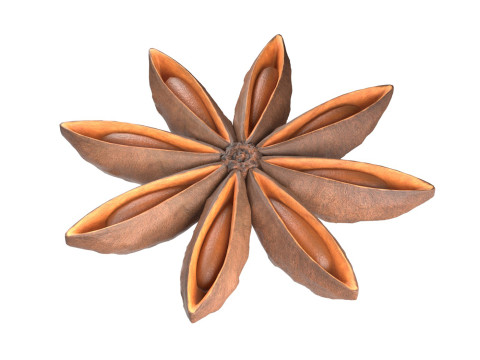 Star Anise 3D Модель