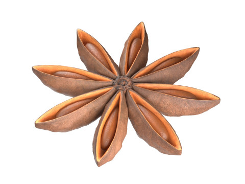 Star Anise Modelo 3D
