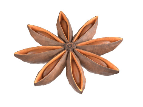 Star Anise Modelo 3D