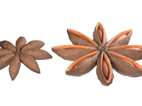 Star Anise Modelo 3D