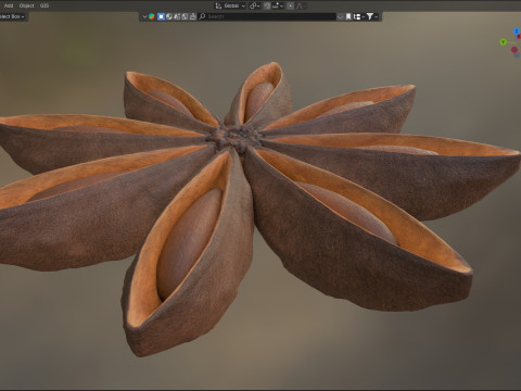 Star Anise Modelo 3D