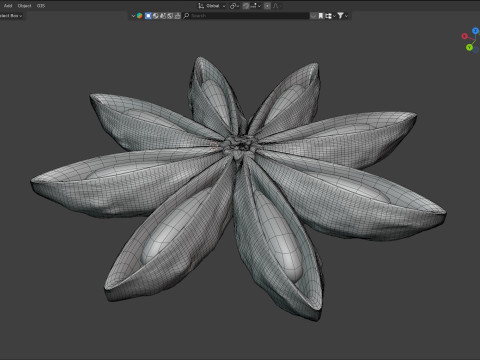 Star Anise Modelo 3D