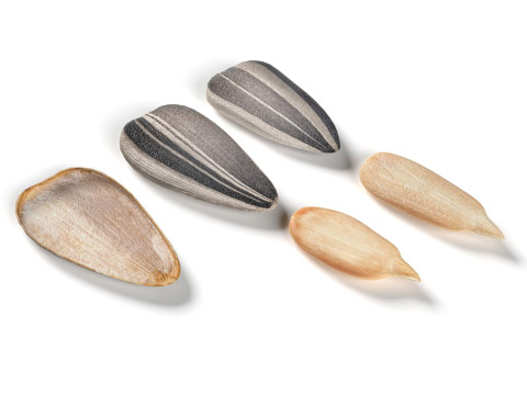 Striped sunflower seeds 3D Модель