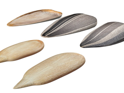 Striped sunflower seeds 3D Modell