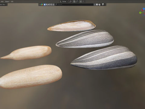 Striped sunflower seeds 3D Model