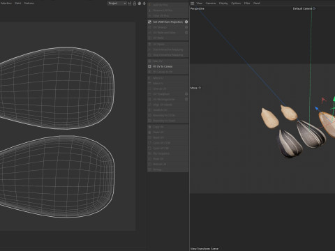 Striped sunflower seeds 3D Modell