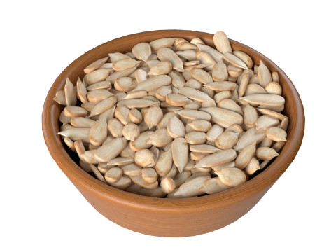 Sunflower seed bowl 3D 모델
