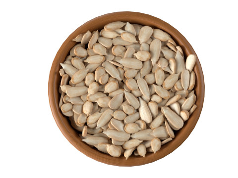 Sunflower seed bowl 3D 모델