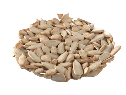 Sunflower seed bowl 3D 모델