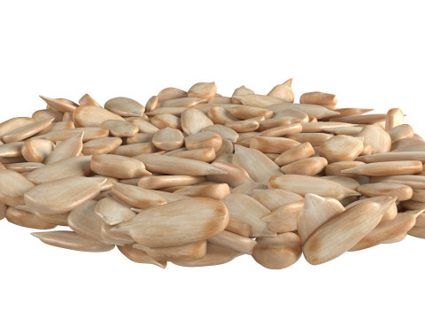 Sunflower seed bowl 3D 모델
