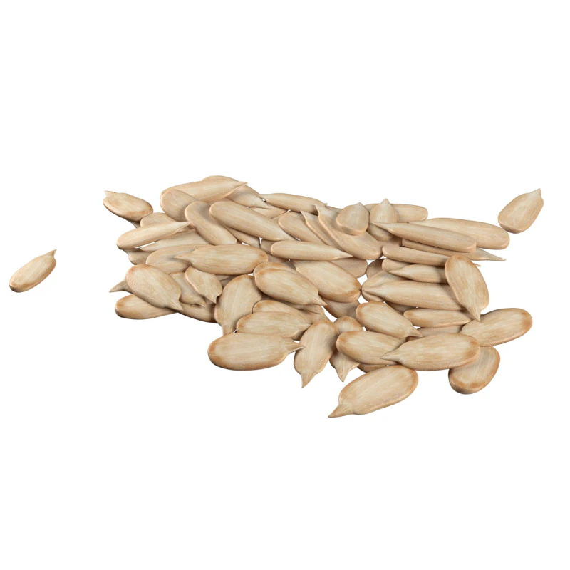 Sunflower seed pile v1 3D Model .c4d .max .obj .3ds .fbx .stl .blend