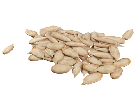 Sunflower seed pile v1 3D Модель