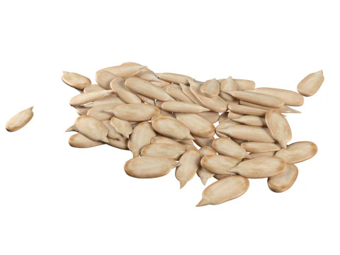 Zonnebloemzaadstapel v1 3D Model