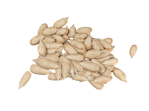Sunflower seed pile v1 Modèle 3D