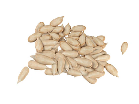 Sunflower seed pile v1 3D Model
