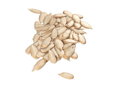 Sunflower seed pile v1 Modèle 3D