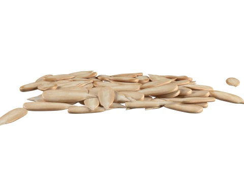 Sunflower seed pile v1 3D Model
